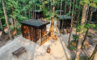 Discover the New Forest Bunkies and Caretaker’s Cabin at Boulder Mountain Resort